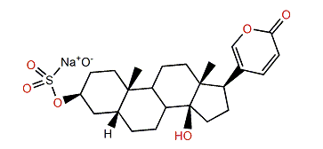 Bufalin 3-sulfate